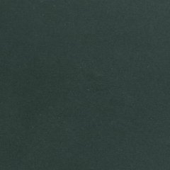 Linoleum 4174 Conifer