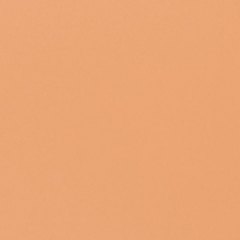 Linoleum 4002 Leather